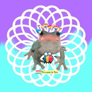 Meet your Posher, Ana